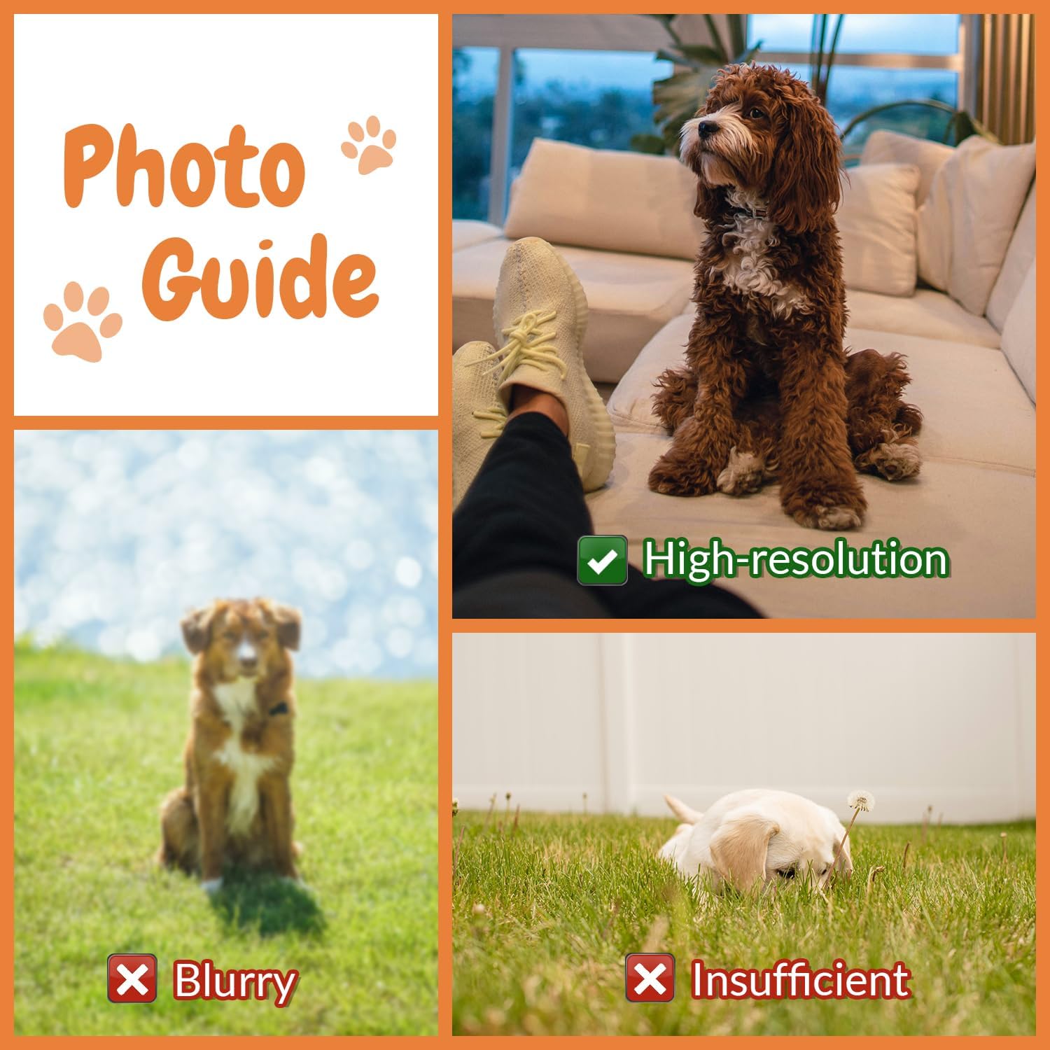 Customised Photo Pet Home Pill - Home Textiles Images 리뷰 및 가격